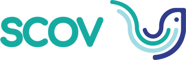 SCOV Marketing Digital