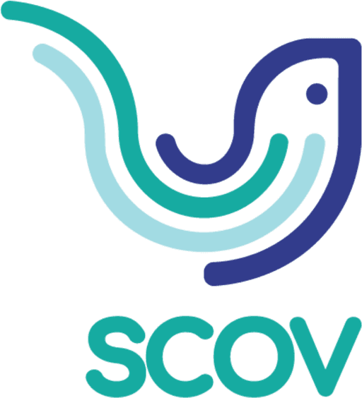 SCOV Marketing Digital